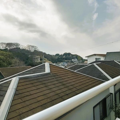 �Z�˂���̒��]�ʐ^�@-