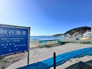 ���ӊ��@�L���Ȏ��R�ƃ��]�[�g�n