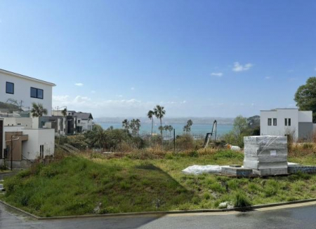 �Z�˂���̒��]�ʐ^�@-