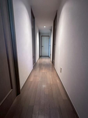 ���̑����ρ@-